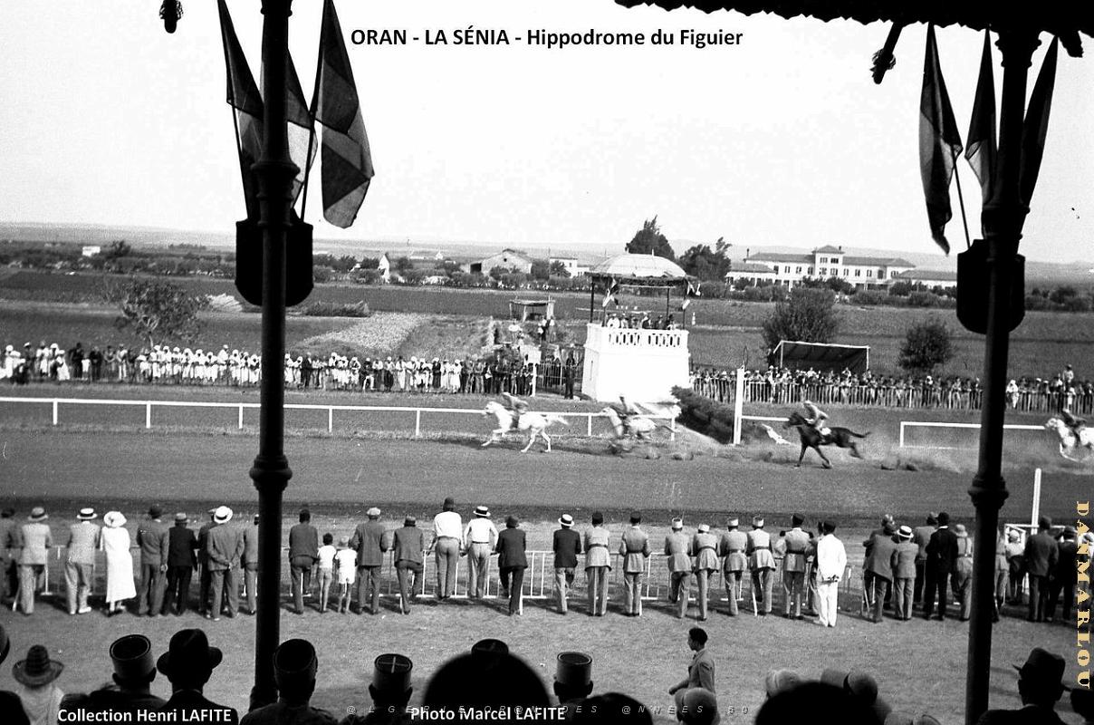 Oran - Hippodrome du Figuier.jpg